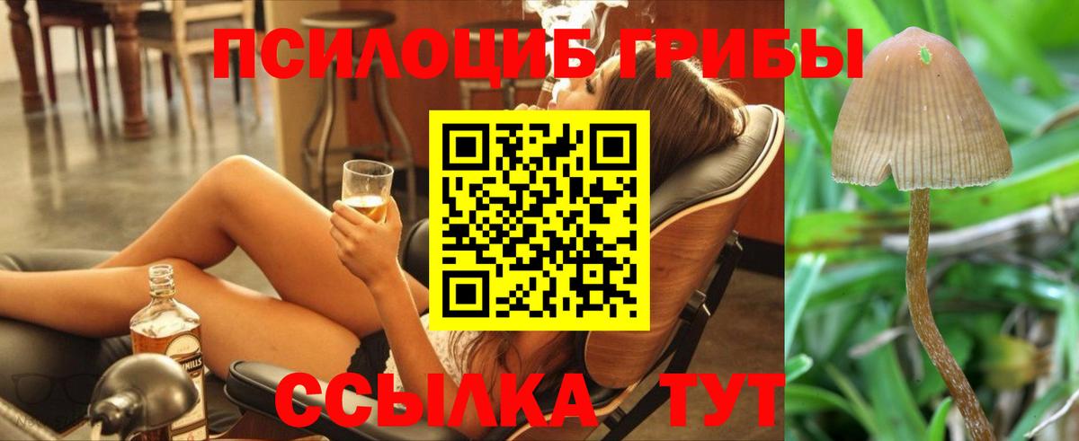 Галлюциногенные грибы Psilocybine cubensis  Вход с VPN  Благодарный 